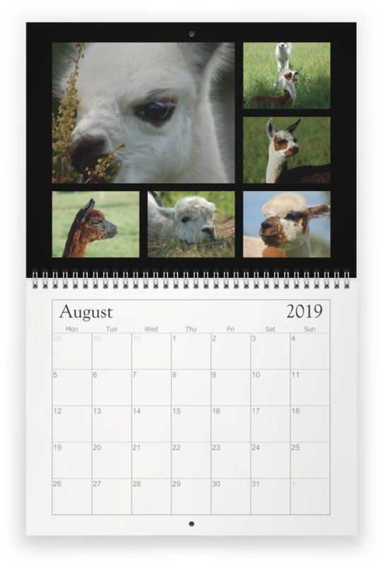  Calendar