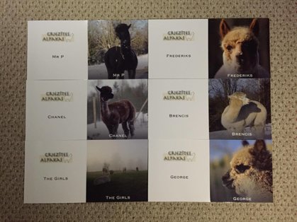 A set of six cards - winter collection