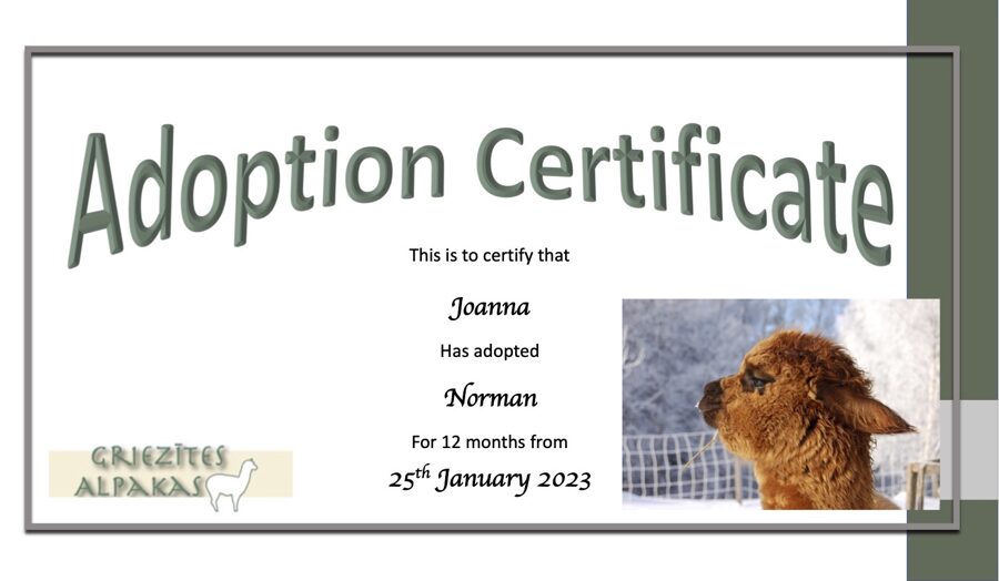 A year's adoption